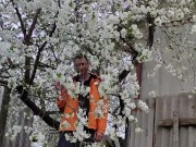 It smells nice of cherry blossoms 7/16