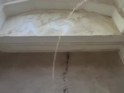 Openly pissing in full view of the neighbors!