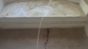 Openly pissing in full view of the neighbors!