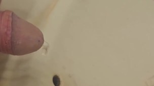 Pissing in sink