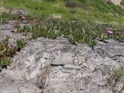 At The Nude🏖️🔞👙 Beach. Putting on a Sunscreen Cream💦  Teasing😈 8/16