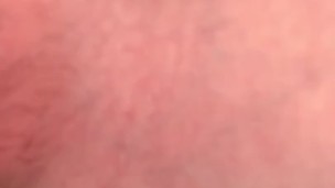 Scouse Couple Toys Play