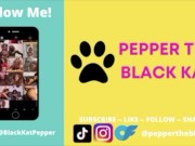 Moaning while I fuck a dildo with my juicy pussy 10/16