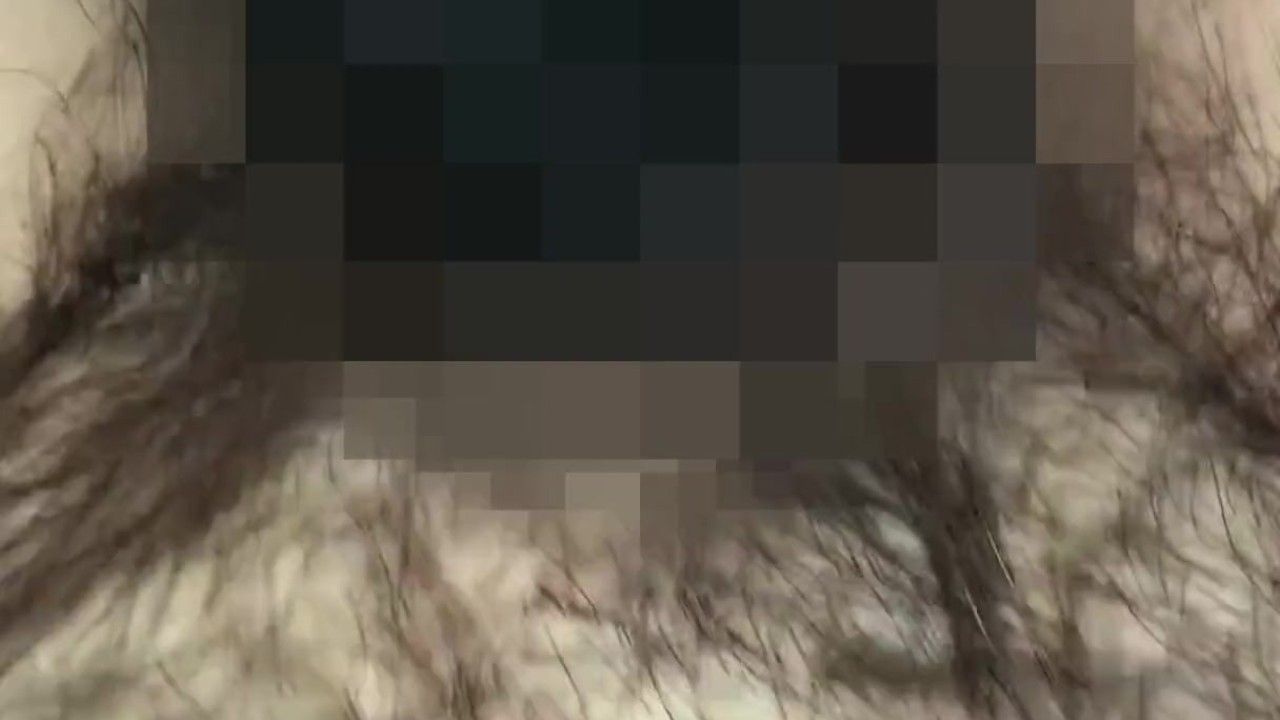 剛毛ぽっちゃり素人が深夜にひっそりオナニー♡リアルな主観映像【個人撮影】 - Kostenloses Sex-Video - RedTube