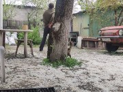 Walking in the yard 11/16