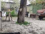 Walking in the yard 12/16