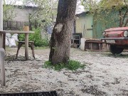 Walking in the yard 13/16