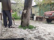 Walking in the yard 6/16