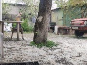 Walking in the yard 7/16