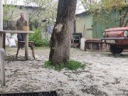 Walking in the yard 8/16