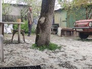 Walking in the yard 9/16