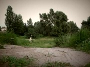 Утренняя зарядка 13/16