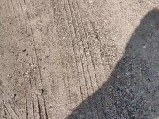 Weekend walking 1/16