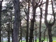 Weekend walking 14/16