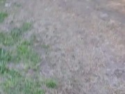 Weekend walking 6/16