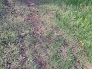 Weekend walking 8/16