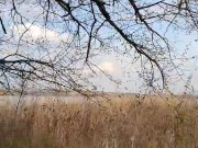 Weekend walking 9/16