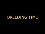 Breeding time for your CUNT (audo roleplay) BREEDING KINK/FETISH creampie dirty talking 10/16