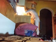 WHY did FaceB00k ask my ID ? dont you know me ? am i a stranger ? 2023-05-05_01-51-24.flv 7/16