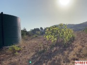 StreetFuck - Public Sex with Hitchhiking Beauty Emelie Crystal 8/16