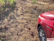 StreetFuck - Public Sex with Hitchhiking Beauty Emelie Crystal 9/16