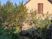 In the evening in the garden 1/16