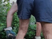 In the evening in the garden