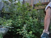 In the evening in the garden 3/16