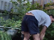 In the evening in the garden 4/16