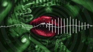 Pet Programming 1/5, Open to Me, deeper into submission, changing your personal structure