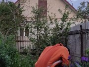 Evening in the garden 7/16