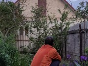 Evening in the garden 8/16