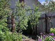 The May sun was warm 11/16