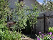 The May sun was warm 12/16