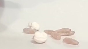 Compilation of sissy faggot humiliation task