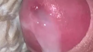 Small uncut cock quickie