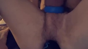 XL Mastiff Pup tail
