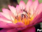 upload test 01 01 01 10/16