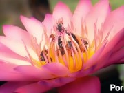 upload test 01 01 01 12/16