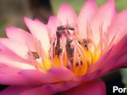 upload test 01 01 01 3/16