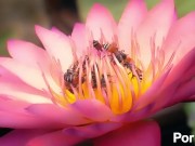 upload test 01 01 01 5/16