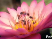 upload test 01 01 01