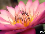 upload test 01 01 01 8/16