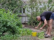 Garden chores 15/16