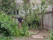 Garden chores 8/16