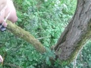 suspendu a un arbre avec cadenas minuteur 15 min 1/16