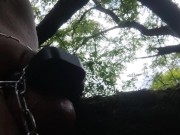 suspendu a un arbre avec cadenas minuteur 15 min 5/16