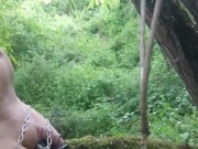 suspendu a un arbre avec cadenas minuteur 15 min 8/16