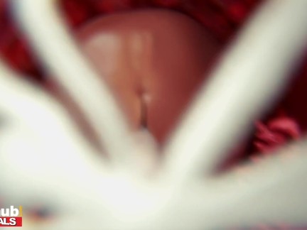 FAKEhub - Horny housemate with beautiful big tits pranks friend into thinking she's a trap