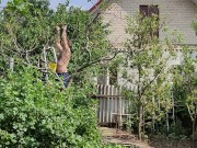 I like to work in the garden 6/16